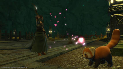 /dote for lil buddy